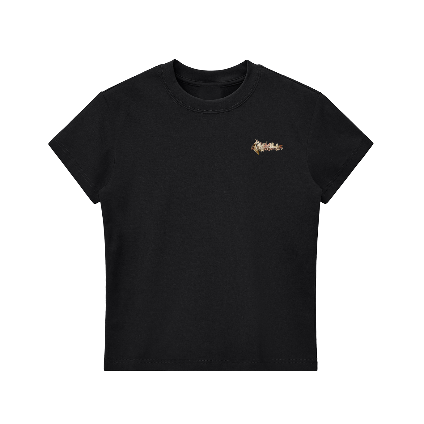 T-Shirt Ale de Basseville ,artwork 