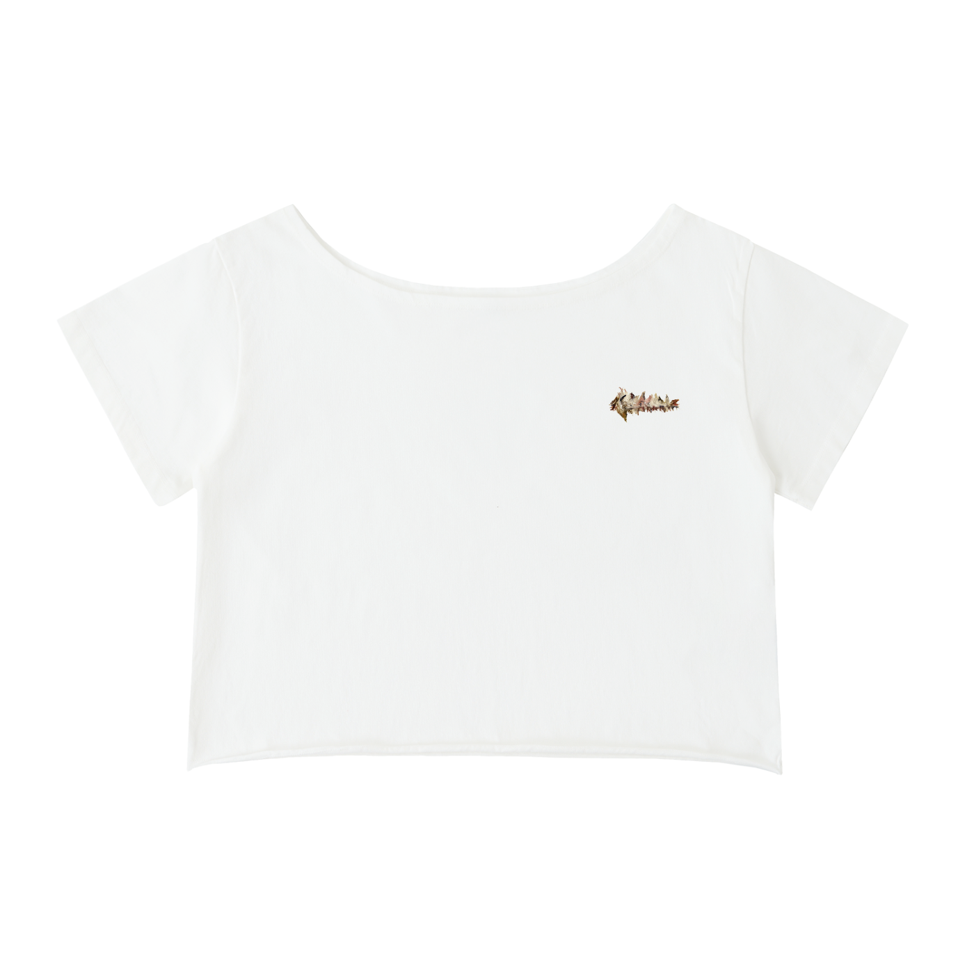 Artwork Ale de Basseville 