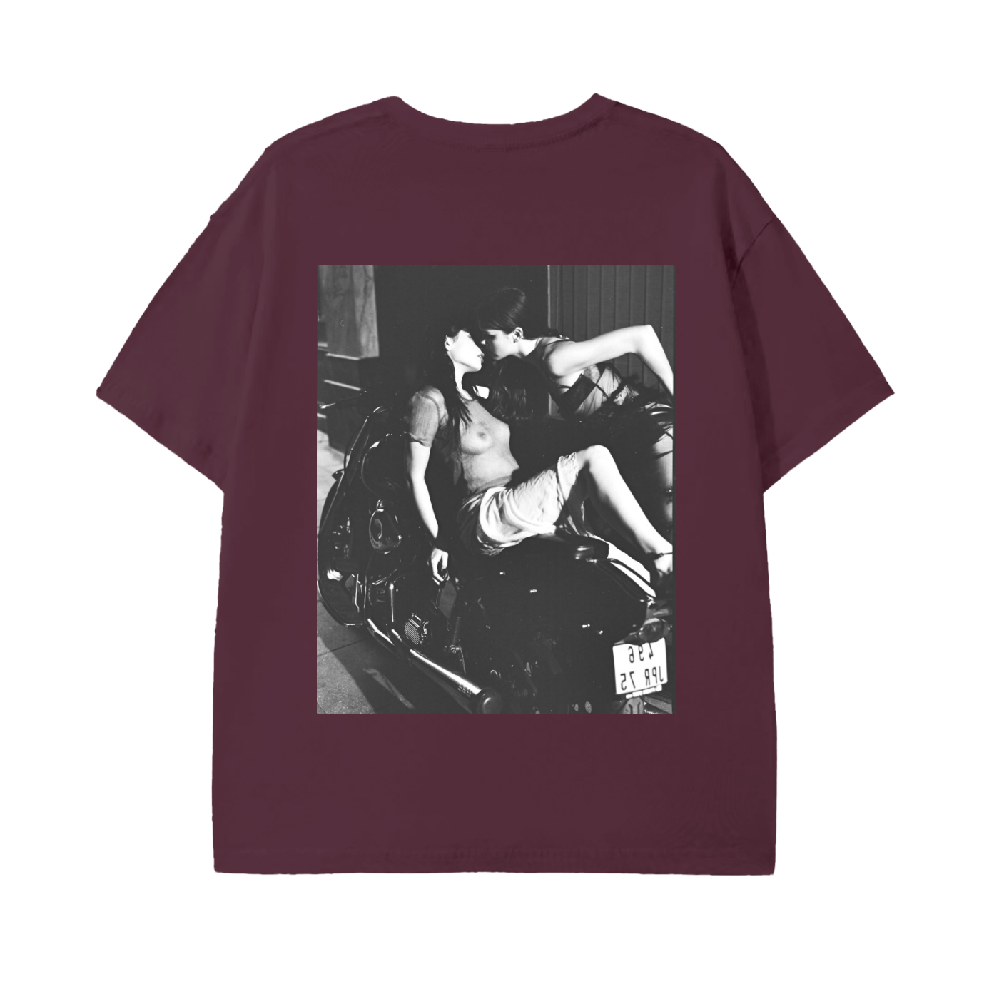 harley davidson ,models,paris,fashion 