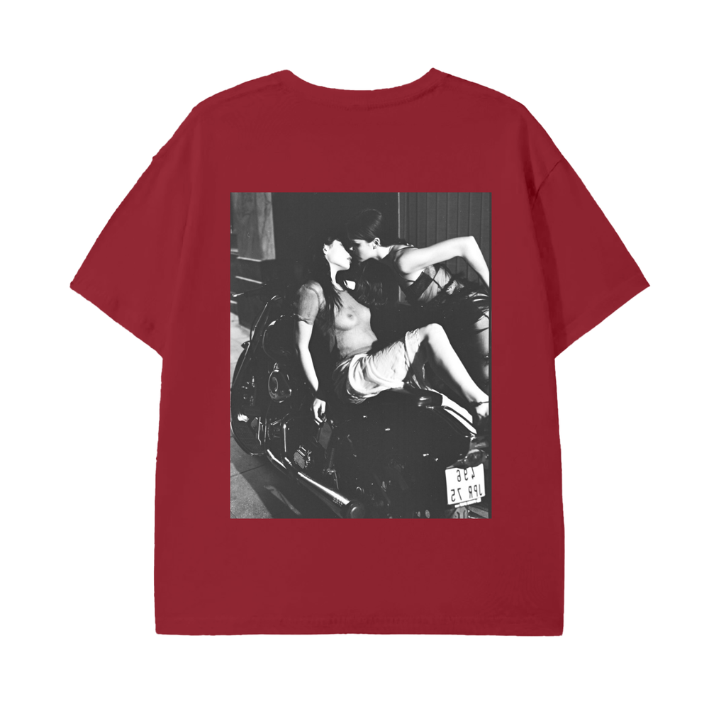 harley davidson ,models,paris,fashion 