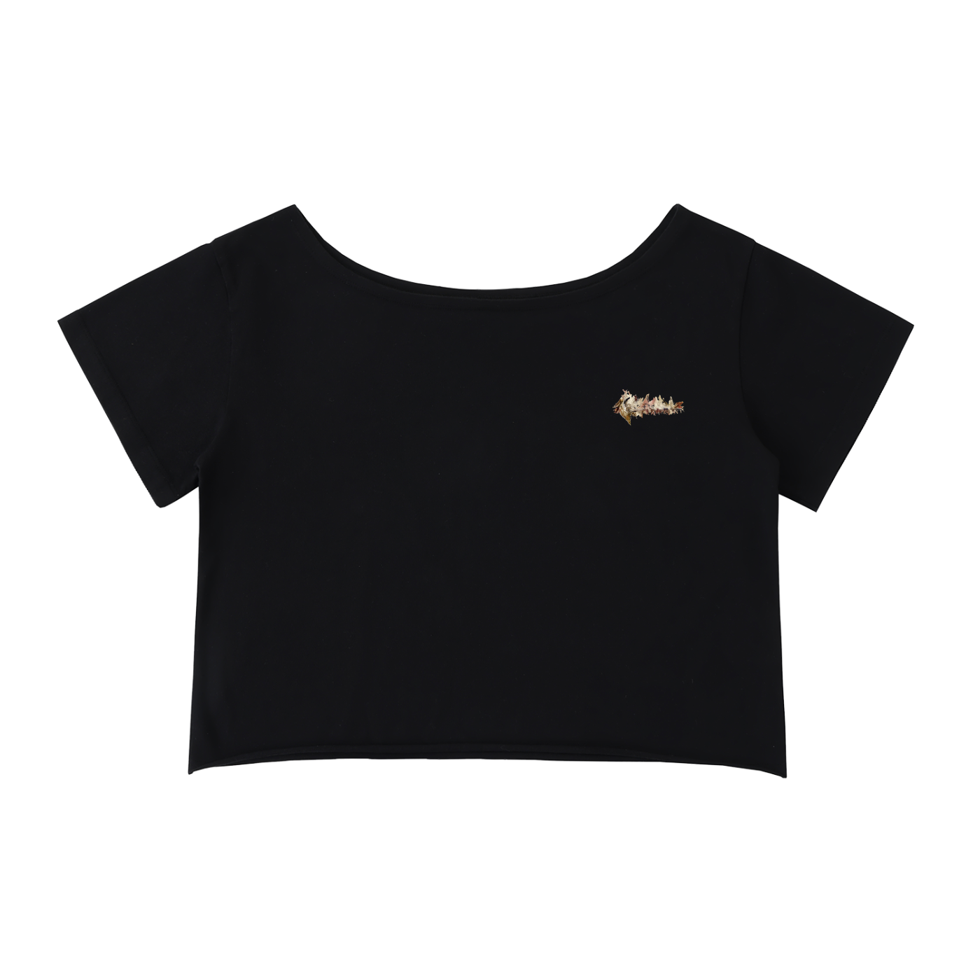 Artwork Ale de Basseville 