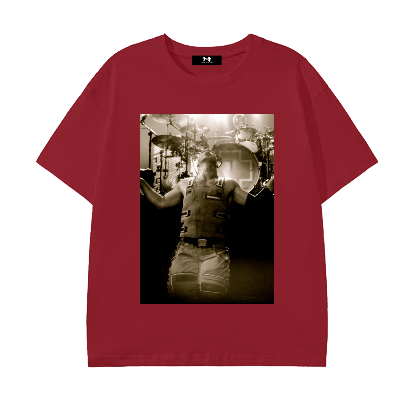 Rammstein,german ,music,group,band,concert,live,photography,Alé de Basseville