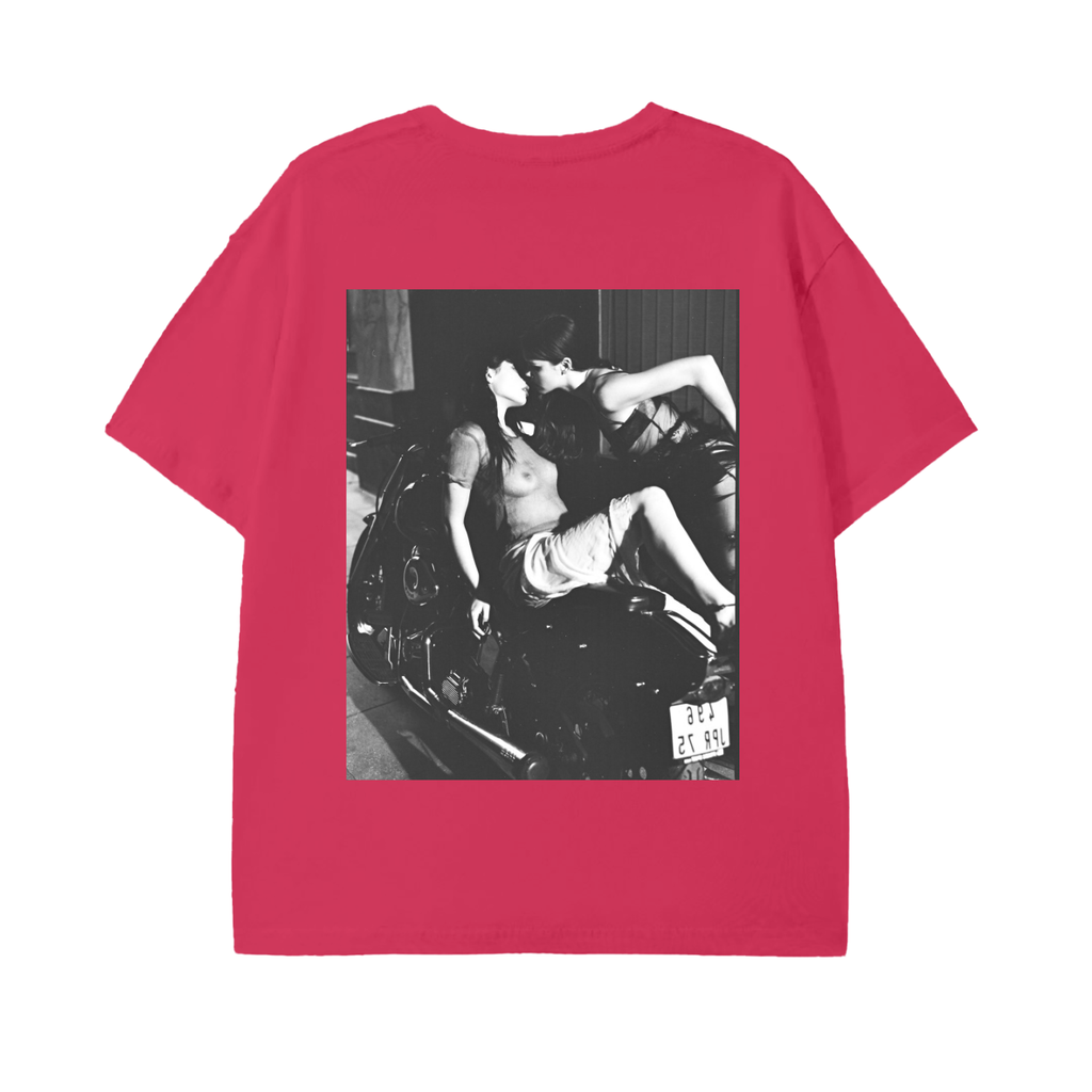 harley davidson ,models,paris,fashion 