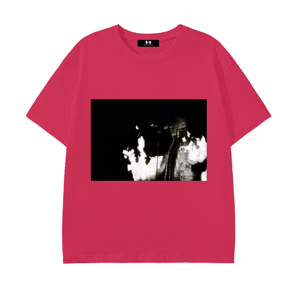 Rammstein,band ,music,german ,Alé de Basseville